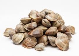 littleneckclams