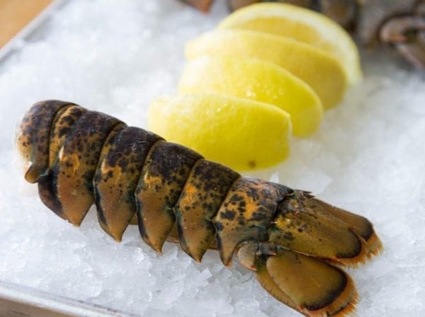 lobstertails